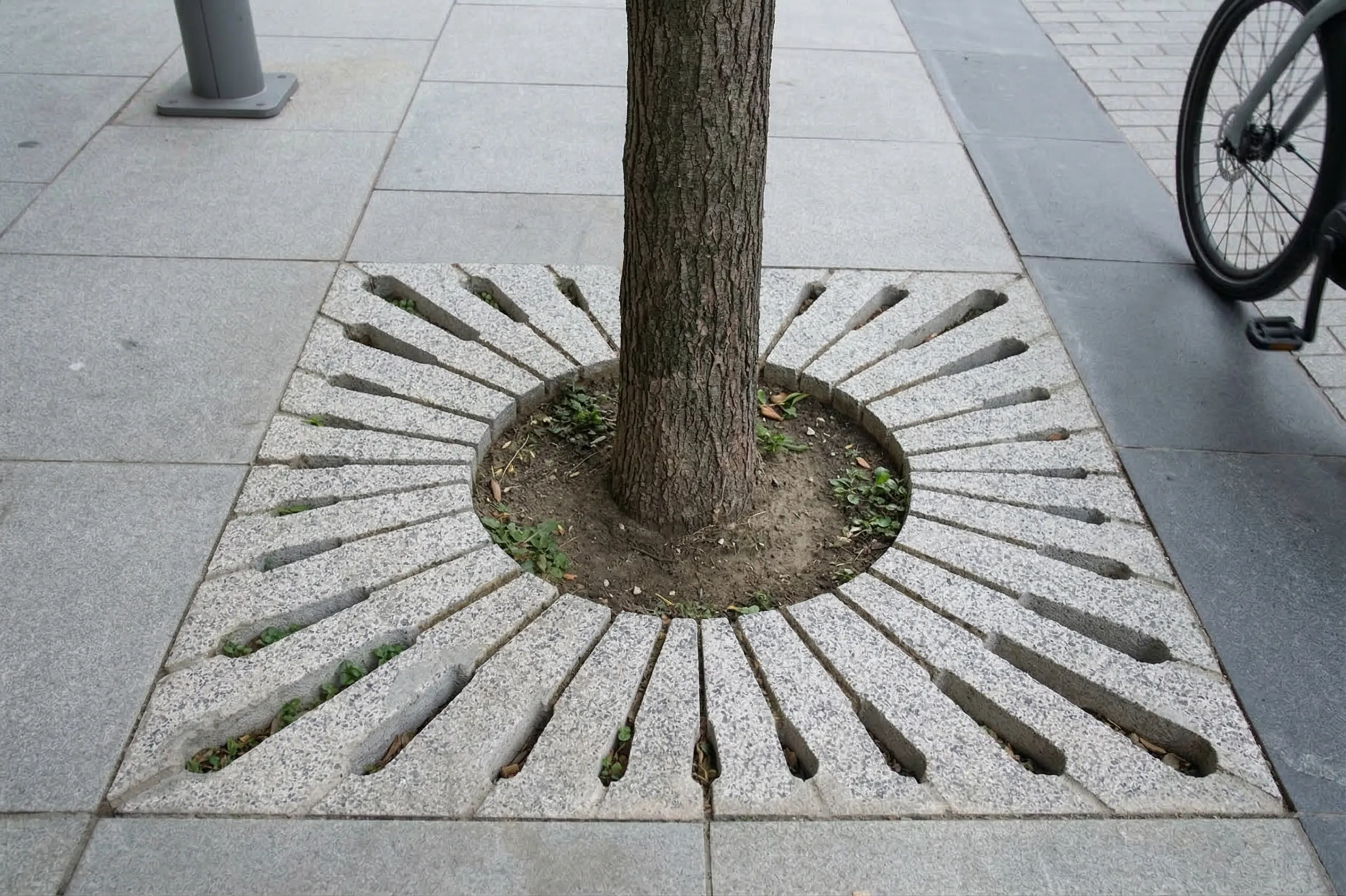 Ağaç Dibi Izgara - Görsel 1