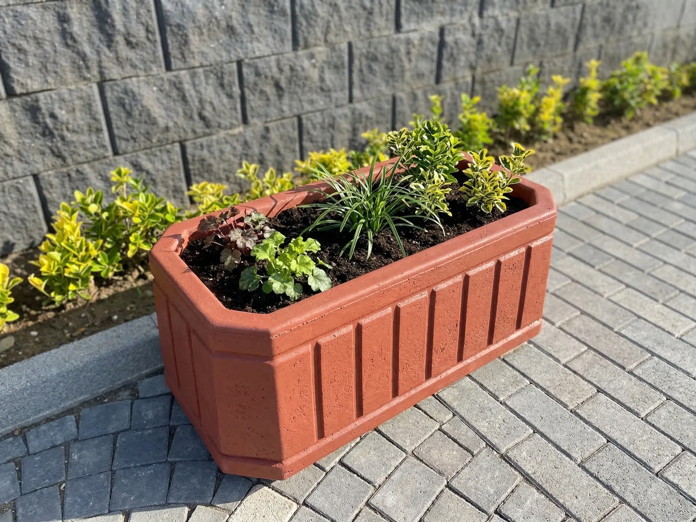 Dikdörtgen Desenli Beton Saksı - Görsel 1